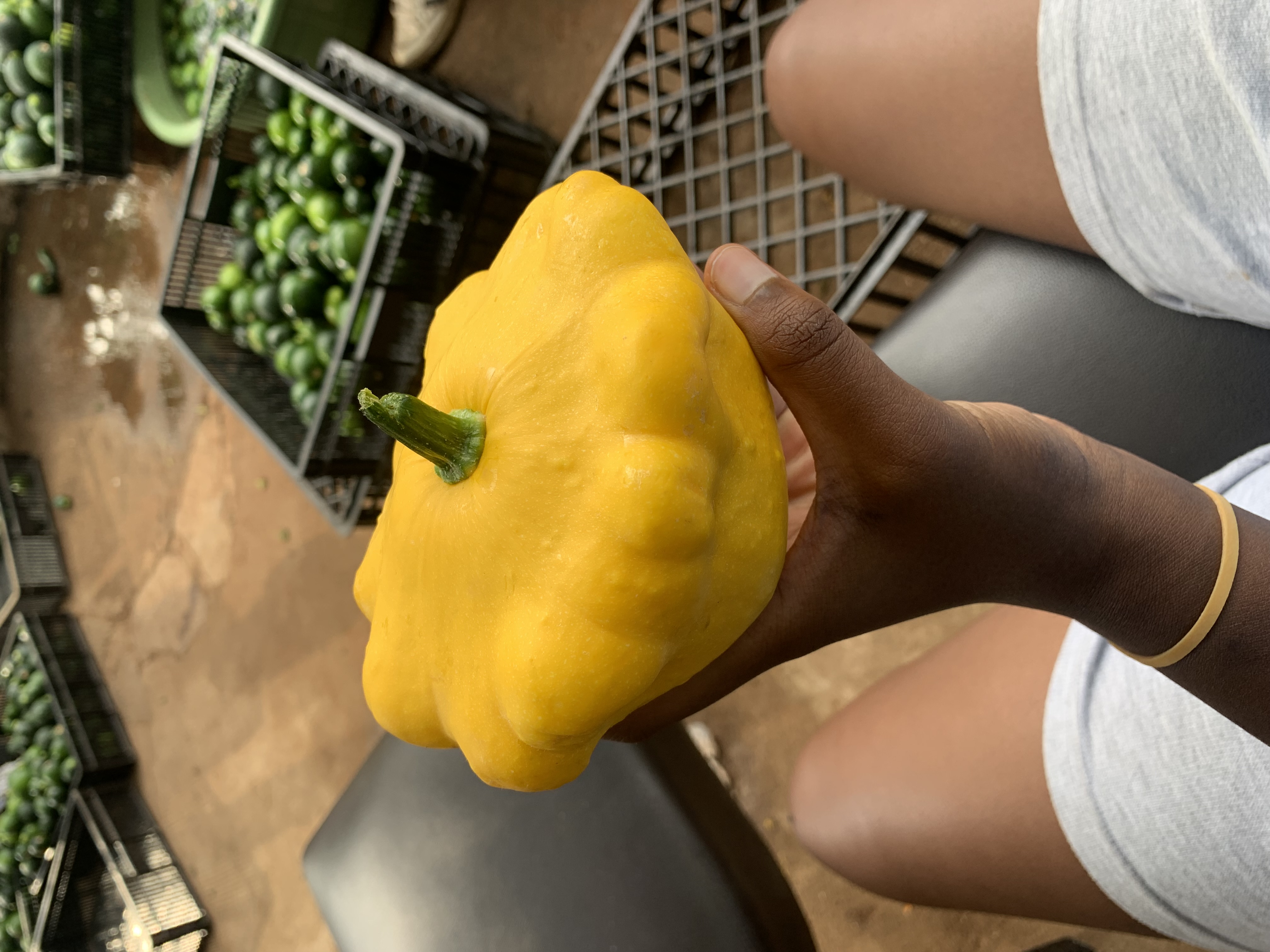 Summer Produce